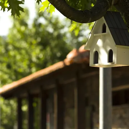 אתר קמפינג Camping Oleiros