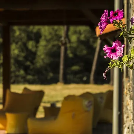 Camping Oleiros אוליירוס