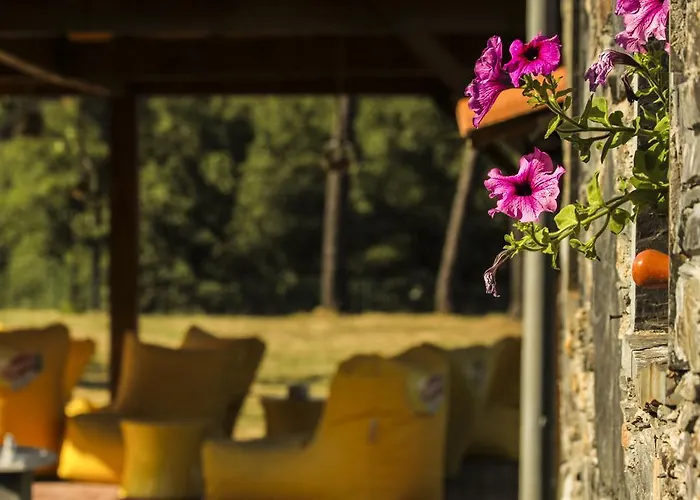 Camping Oleiros (Castelo Branco)