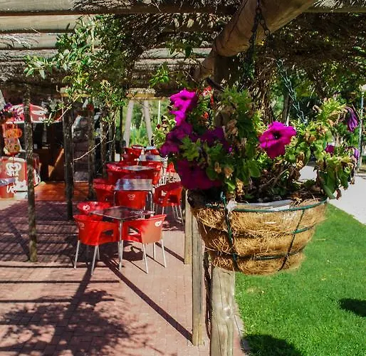 Camping Oleiros مكان تخييم أوليروس